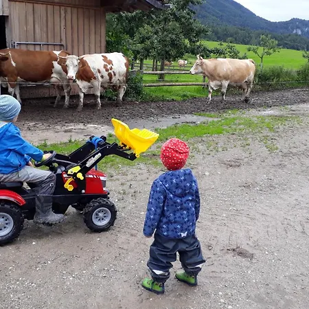 Apartament Knogler-bauer Schleching