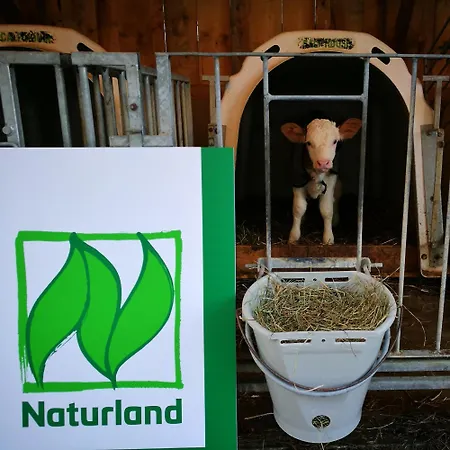 Knogler-bauer Apartament