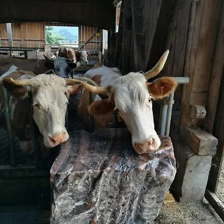 Knogler-bauer Apartament Schleching