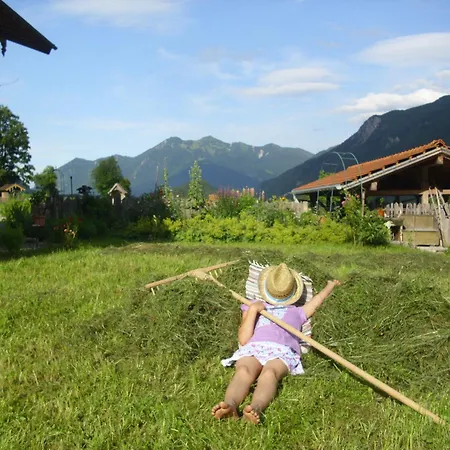 Knogler-bauer * Schleching