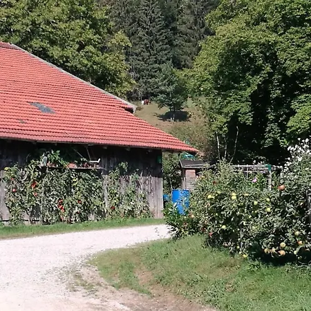 Knogler-bauer Appartement