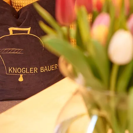 Knogler-bauer Apartament