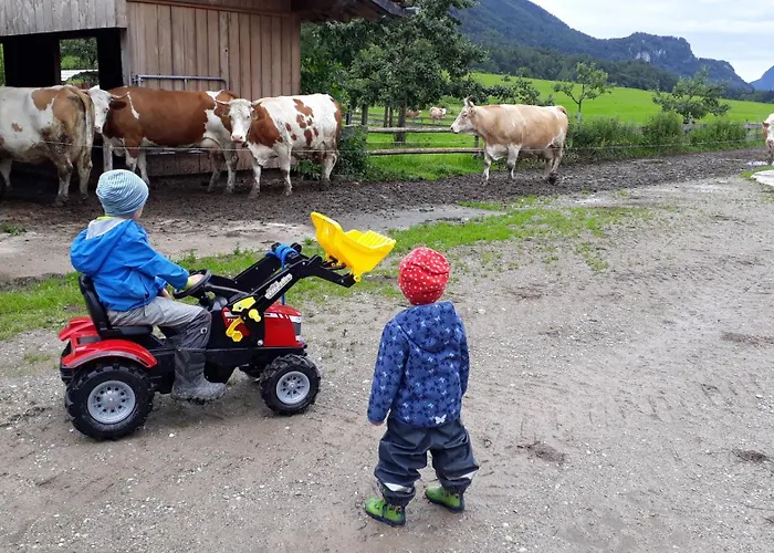 Apartmán Knogler-bauer Schleching