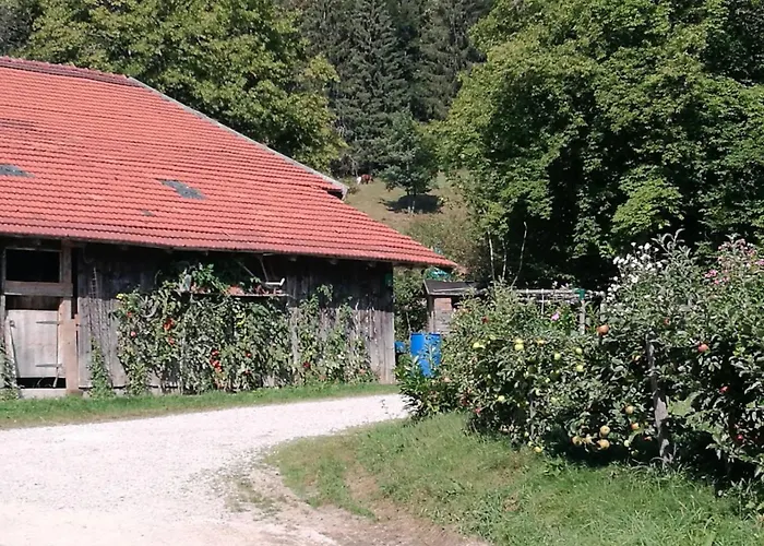 Knogler-bauer Apartmán